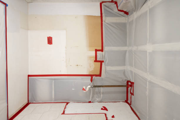 Best Black Mold Removal  in Buena Vista, MI