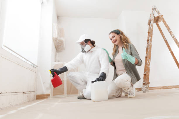 Best Mold Odor Removal Services  in Buena Vista, MI